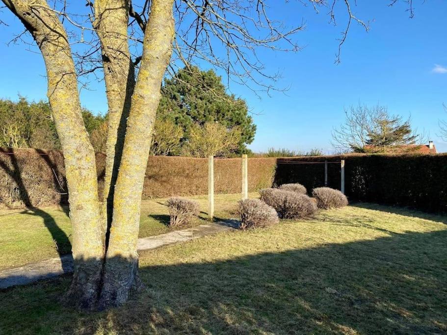 Maison Village, 10 Pers, Proche De La Plage Audinghen Exteriör bild