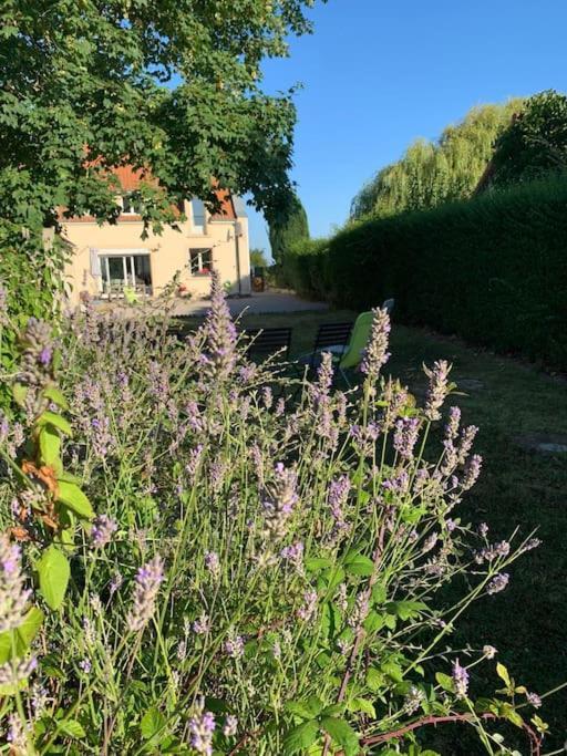 Maison Village, 10 Pers, Proche De La Plage Audinghen Exteriör bild